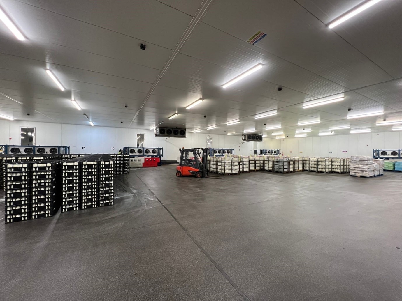 Dairy Case Study - Contingency Planning at Its Finest - inside a chilled warehouse